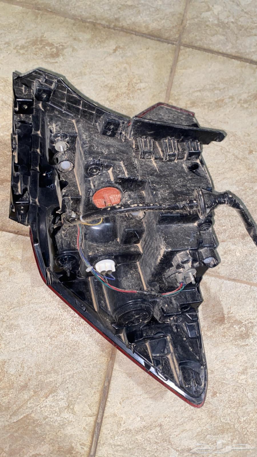 Accent 202464359763716738114