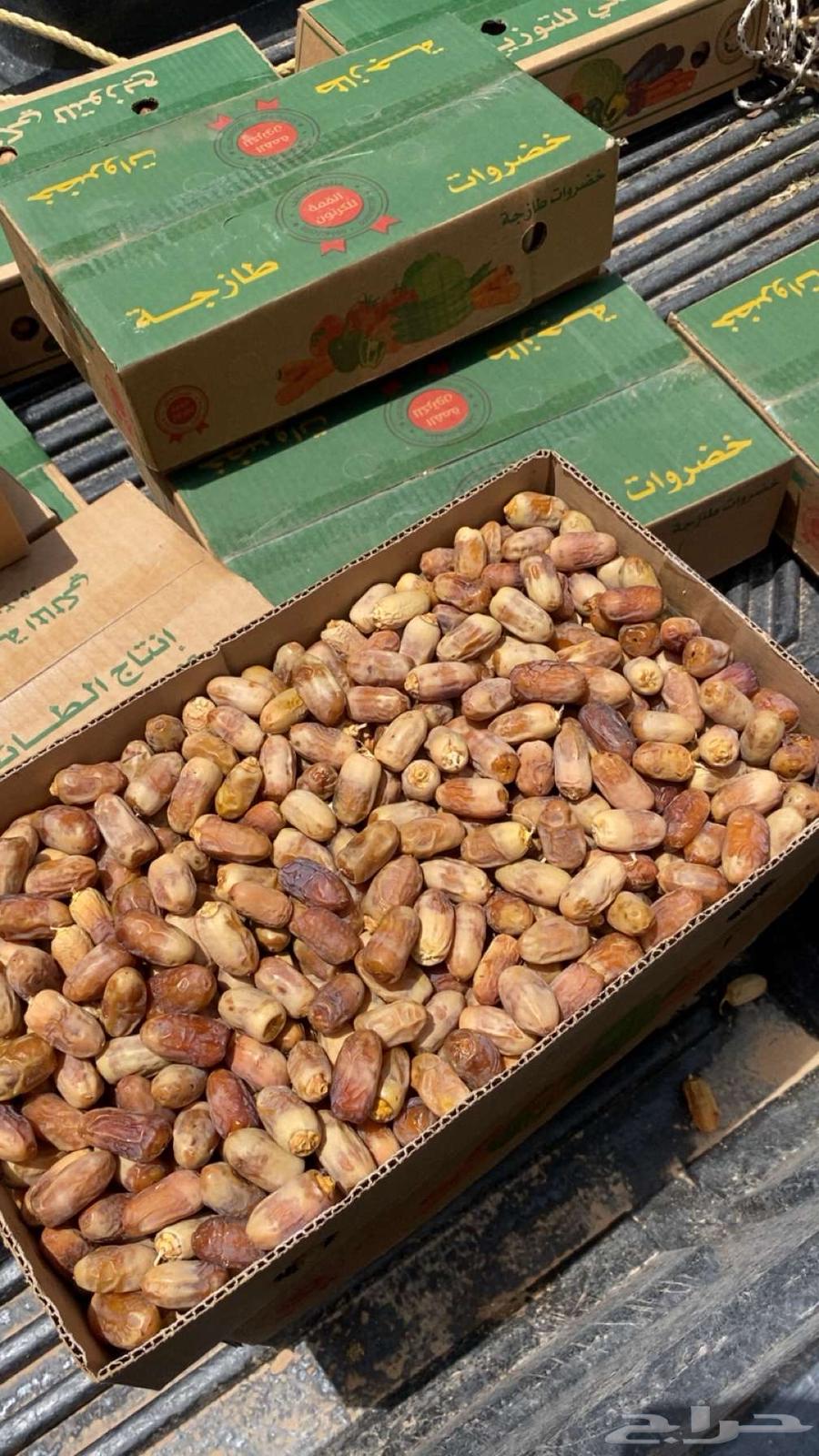 New dates for sale in Taif64127105374210111