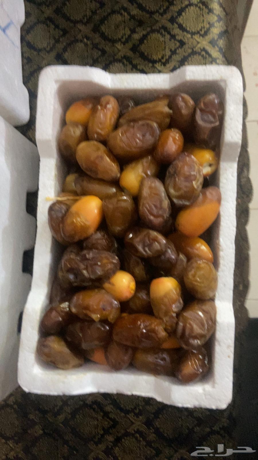 Safri dates for sale64141927197826112