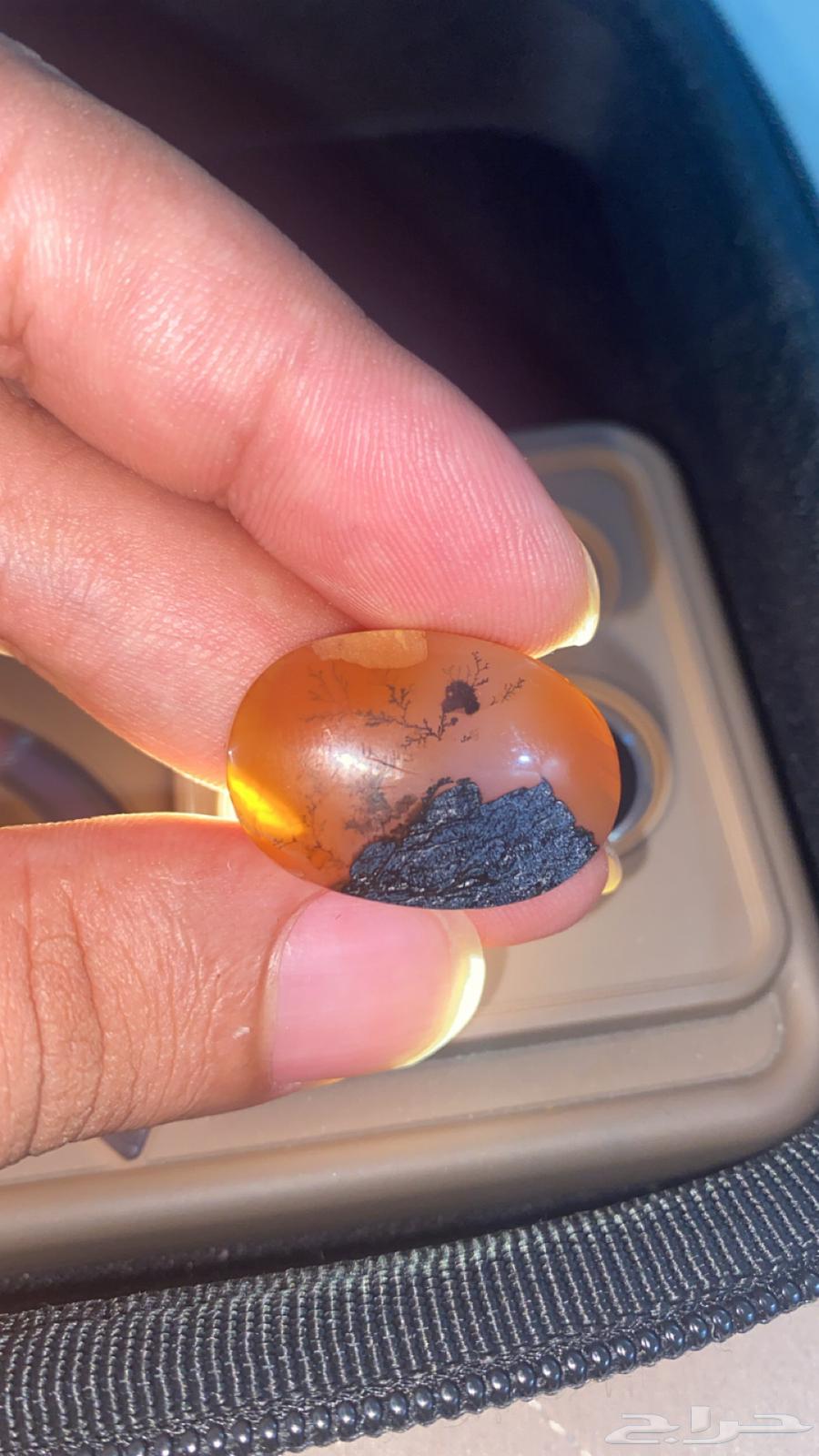 Tree Agate Stones64125217038082113