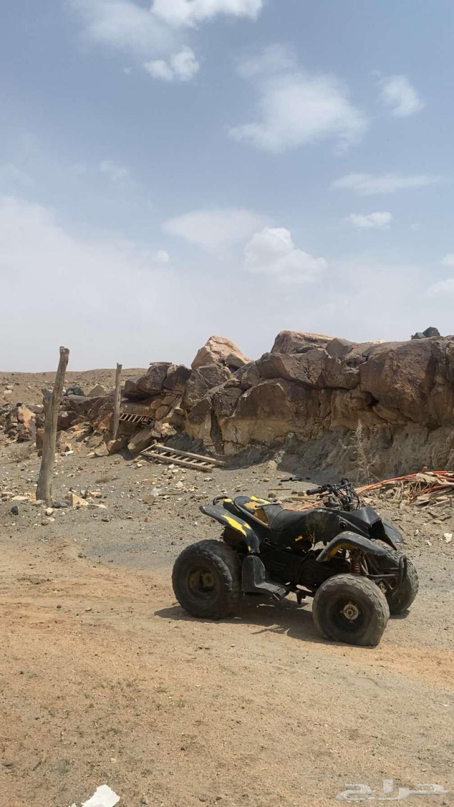 دباب سويدي كفووو شعال64359001088257110