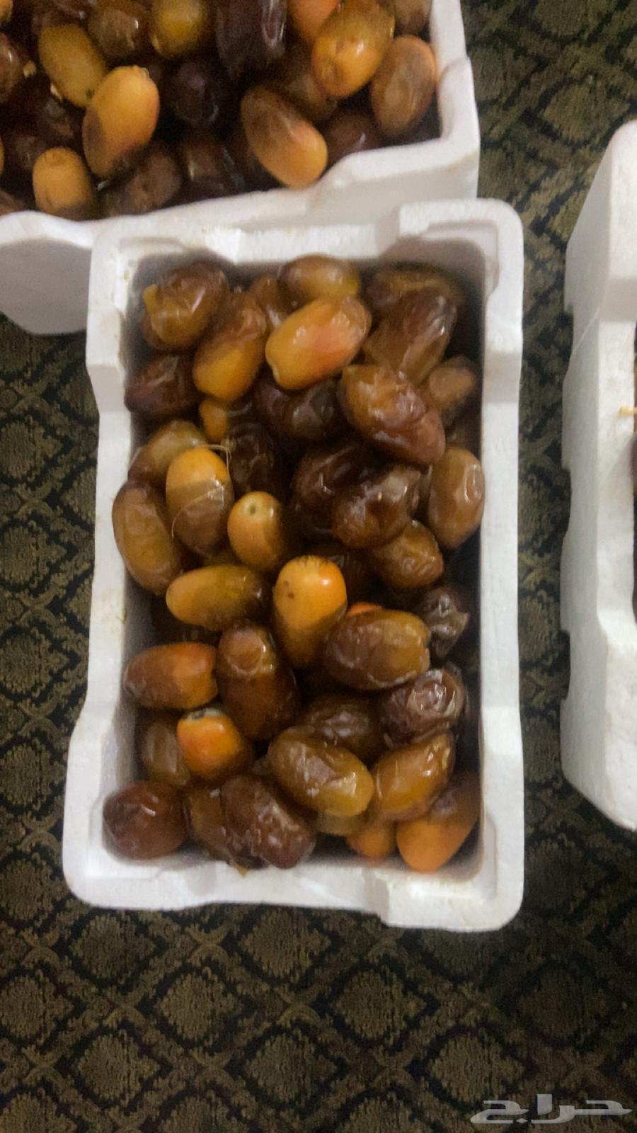 Safri dates for sale64141927197826111