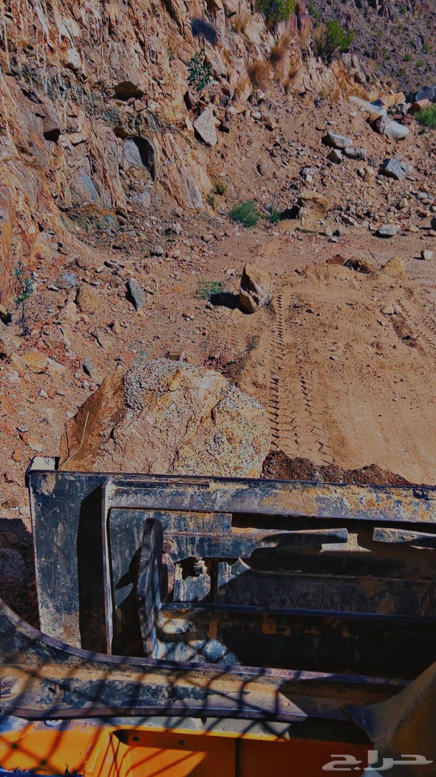 Bobcat64373876166018113