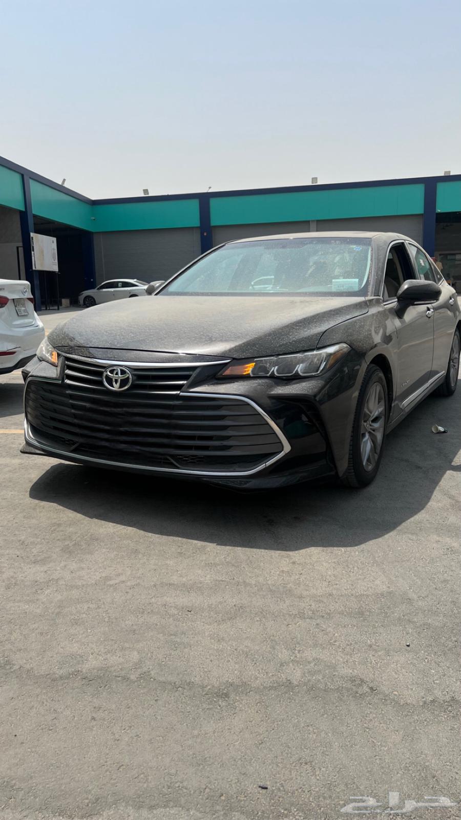 افلون تورنق202264369952222337110