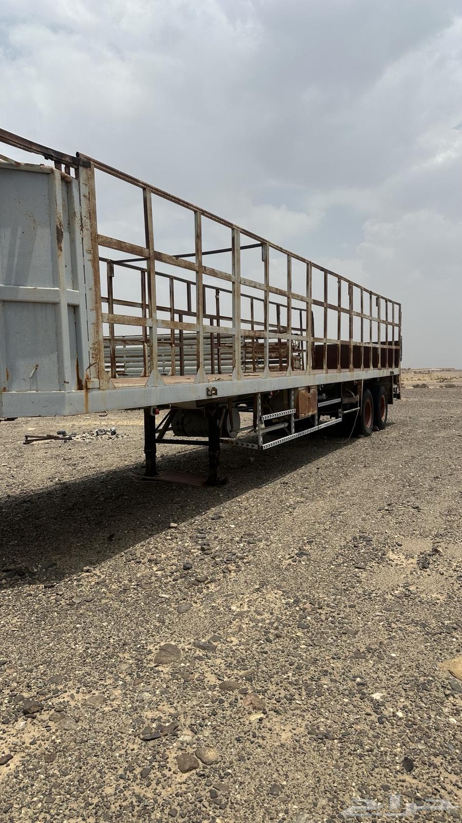 تيدر عدد 2 جوانب الماني64365350411009113