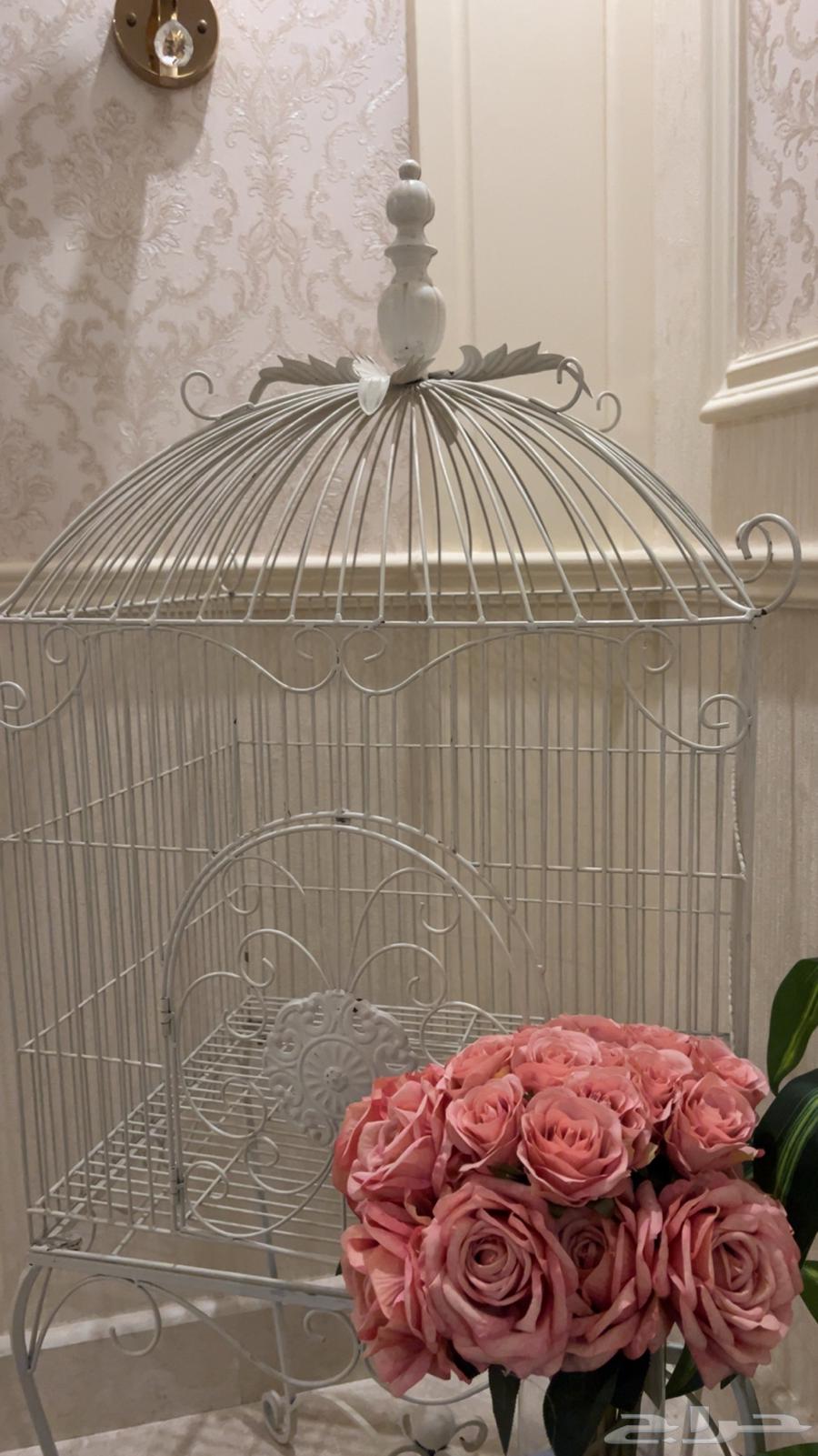 Large cage suitable for display64141913749251111