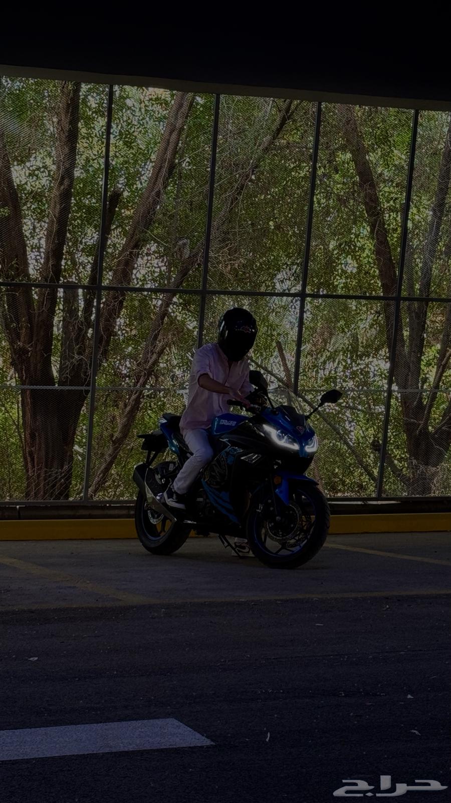 ريس بور اسبورت64359749377154113