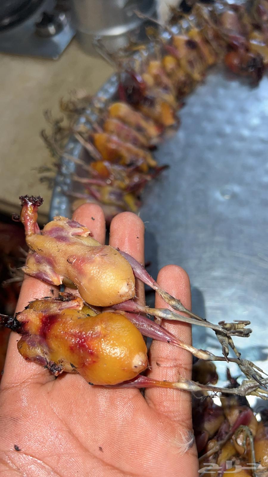 31264364698849282110