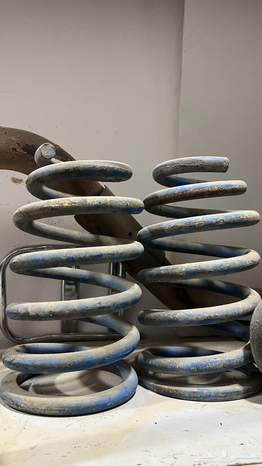 Yai in front (Li Z) Australian64371292436226110