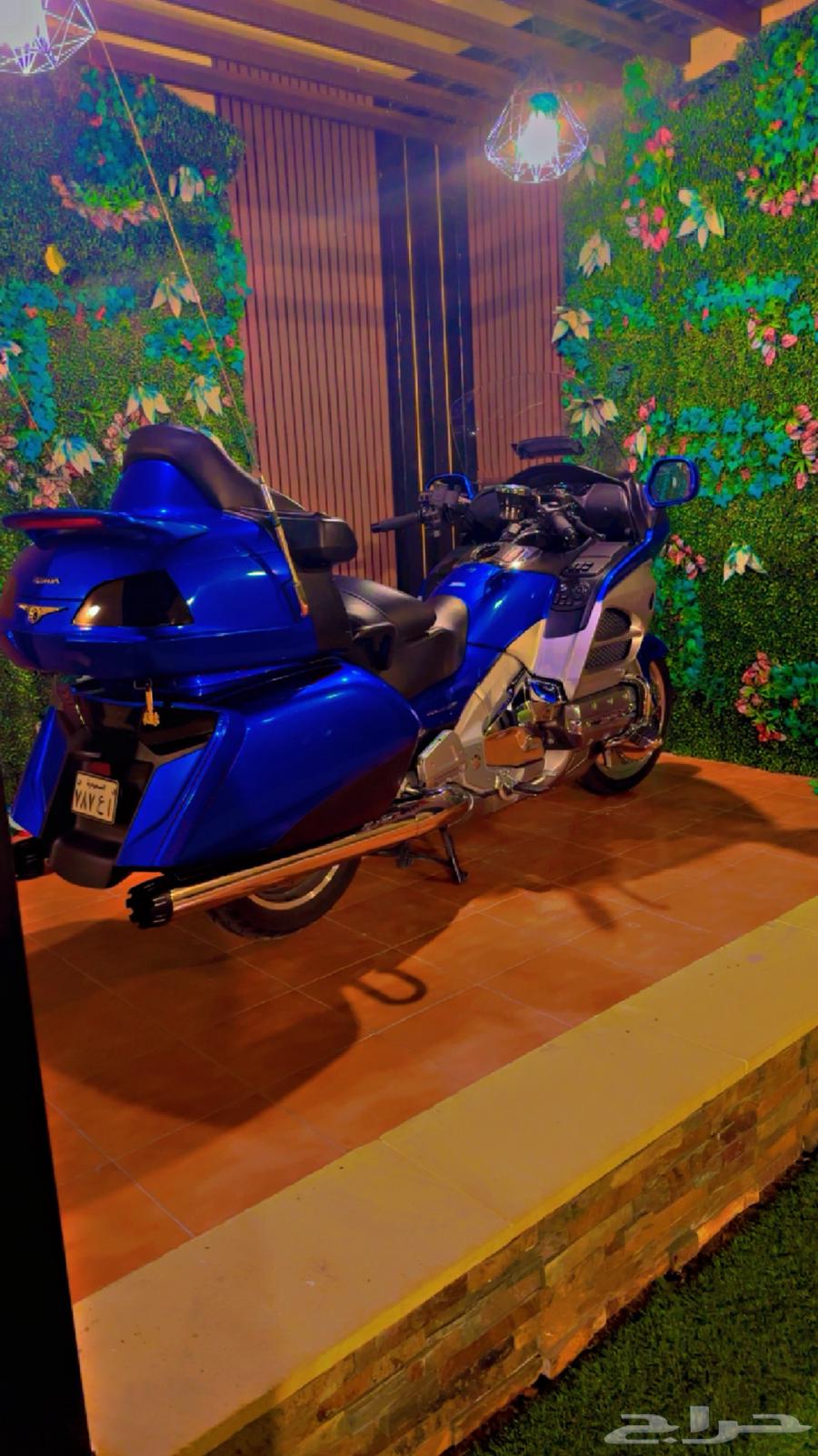 Gouldwing (Rihal) 2013 Level364367872923650111