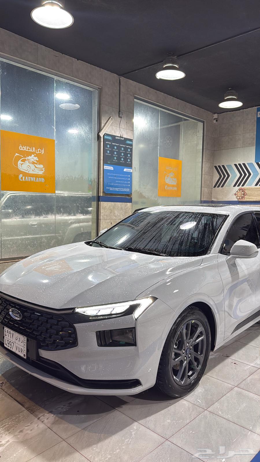 تورس 2025 للتقبيل بدون مقابل64360305063171112