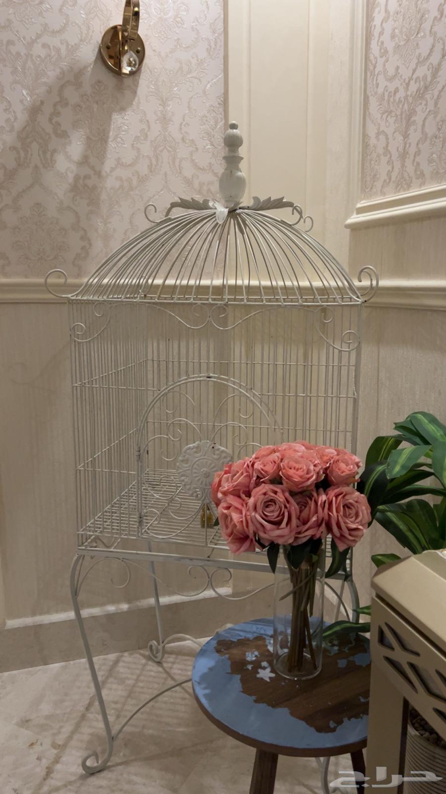 Large cage suitable for display64141913749251110
