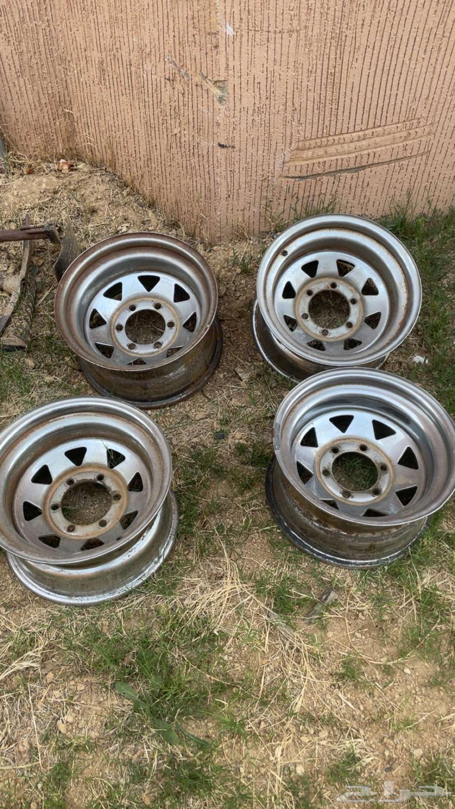 جنوط للبيع64369160167298111