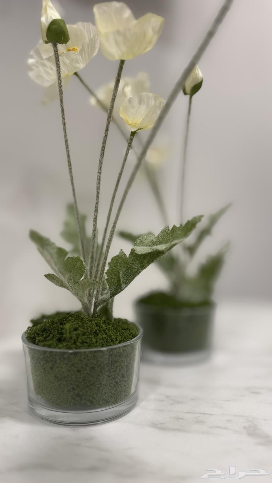 Service Table Flowers64143478645890110