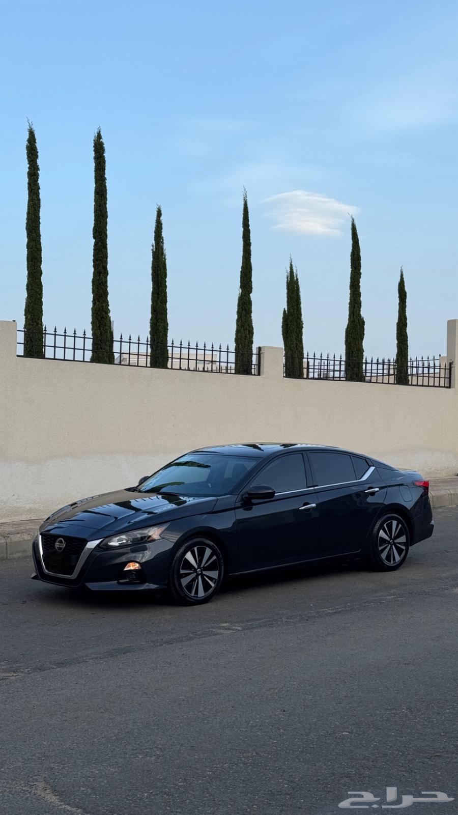 التيما 2022 نص فل للبيع64364892020353110