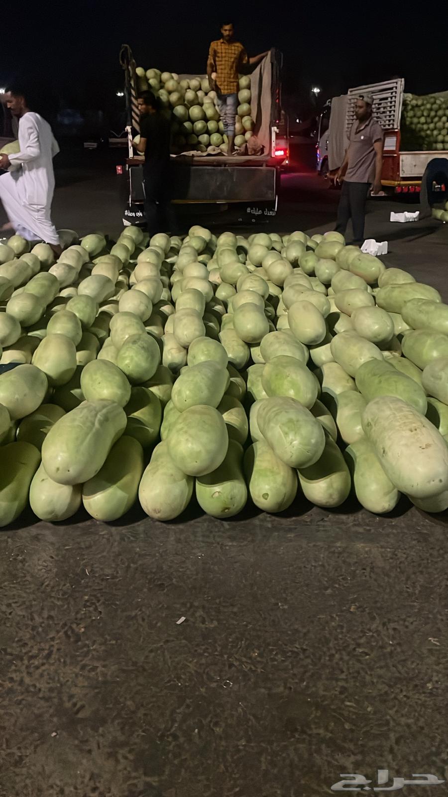 Al-Jouf from Al-Qassim vegetable market64141933162626113