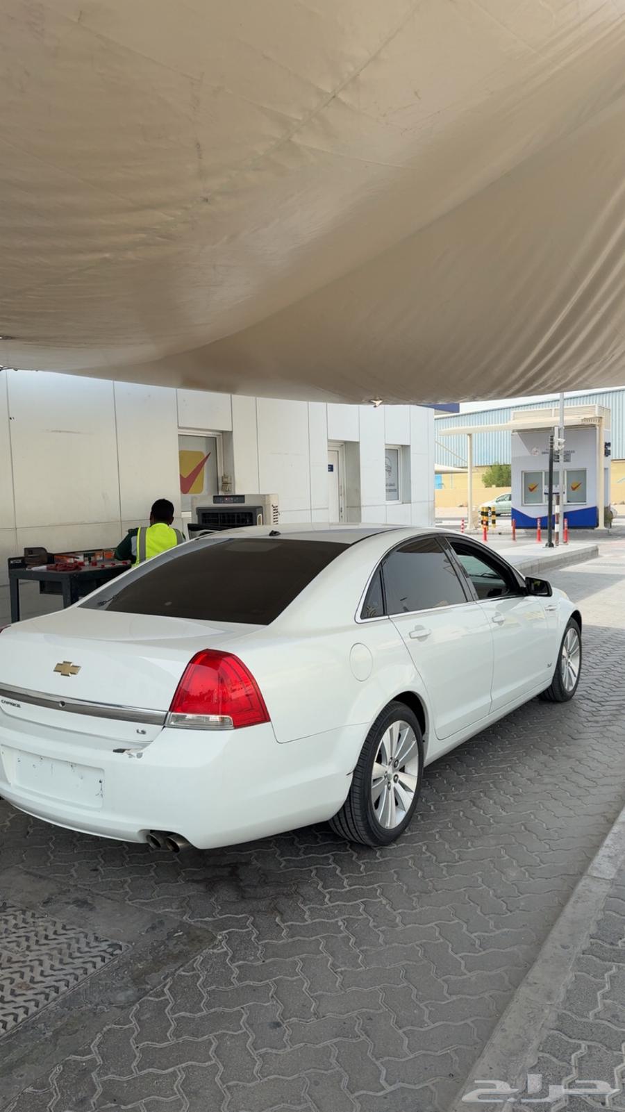 جنوط كابرس اس اس64371263671937110