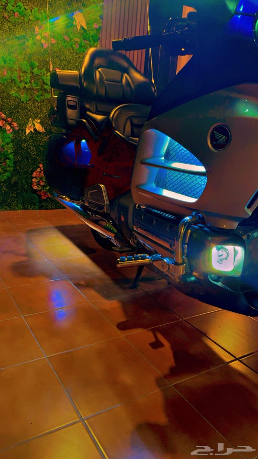 Gouldwing (Rihal) 2013 Level364367872923650113