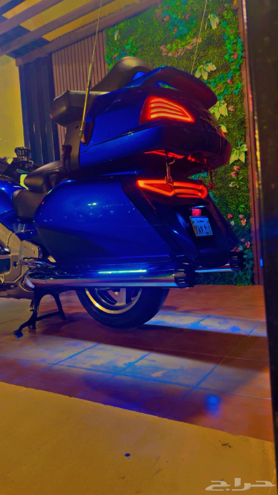 Gouldwing (Rihal) 2013 Level364367872923650114