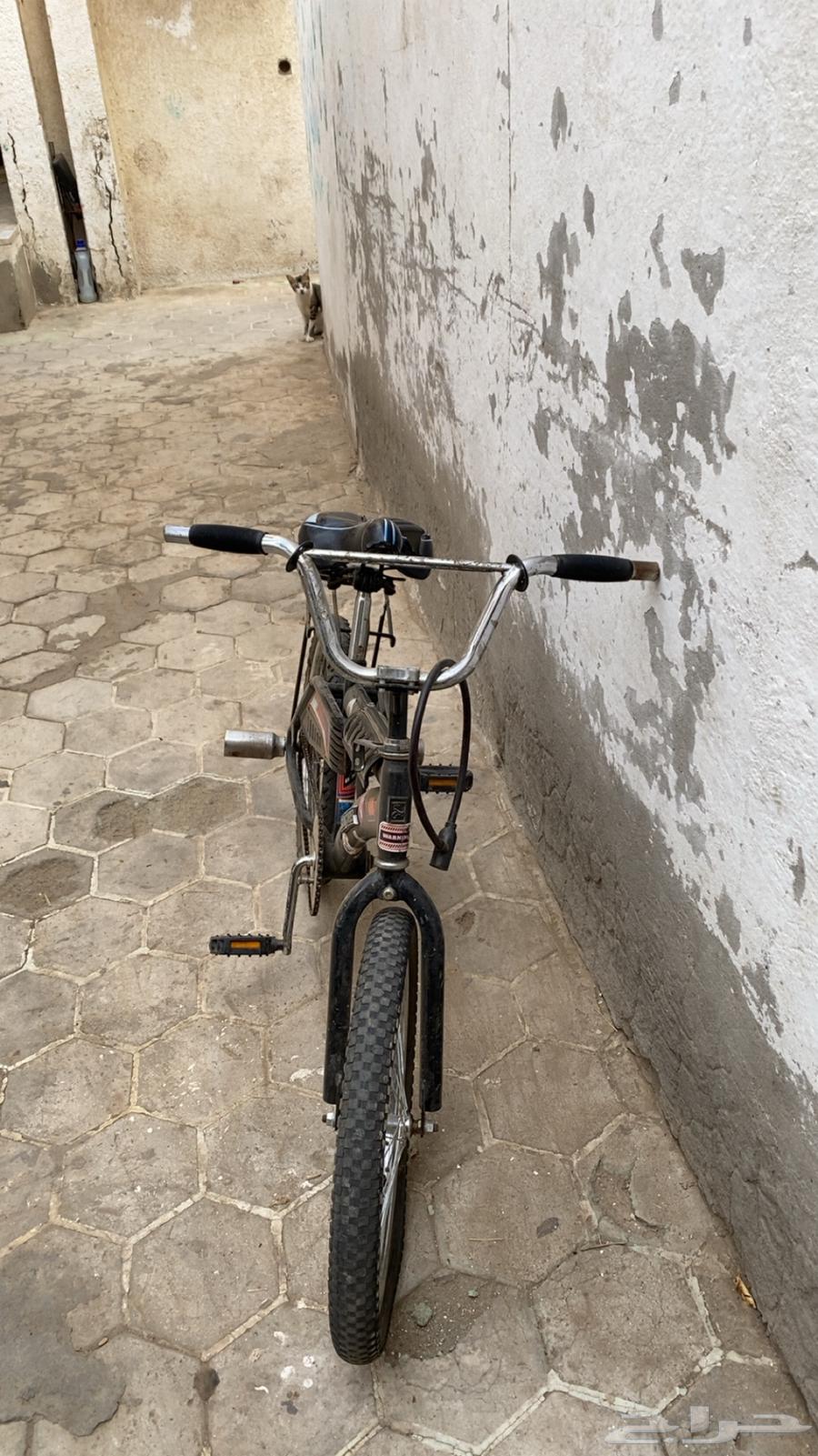 Rambo Bicycle64141546527490110