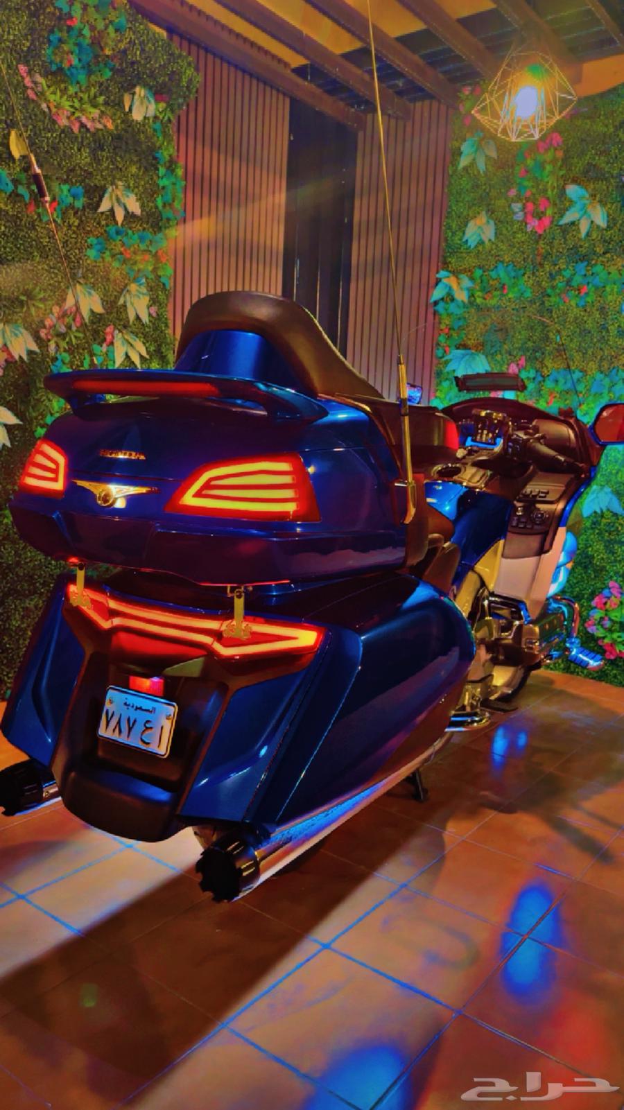 Gouldwing (Rihal) 2013 Level364367872923650110