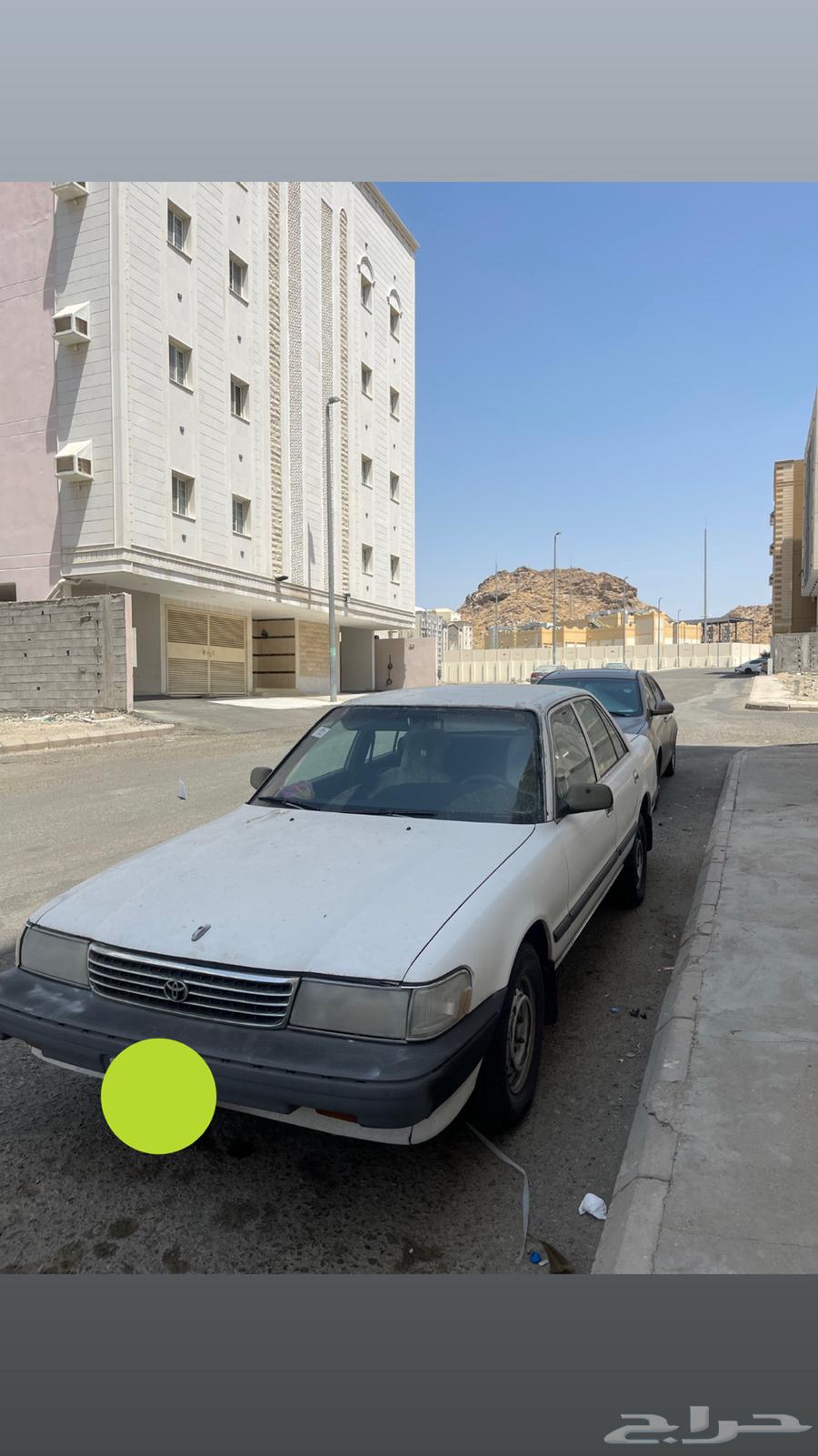 Cressida64364024721667110