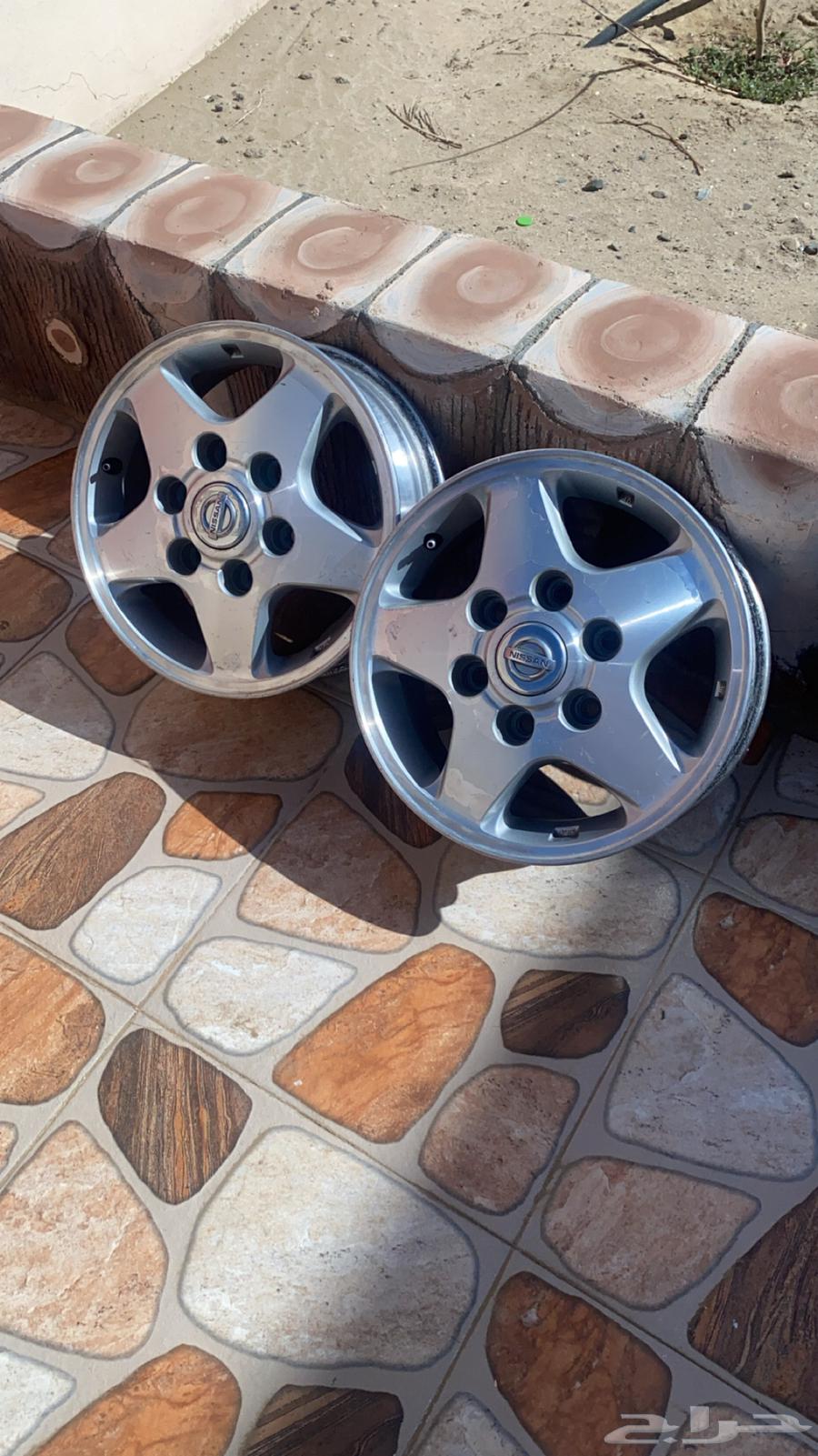 جنوط نجمه للبيع سالمه من الرجه شرط وكاله التواصل خاص لهنتو64370698463490111