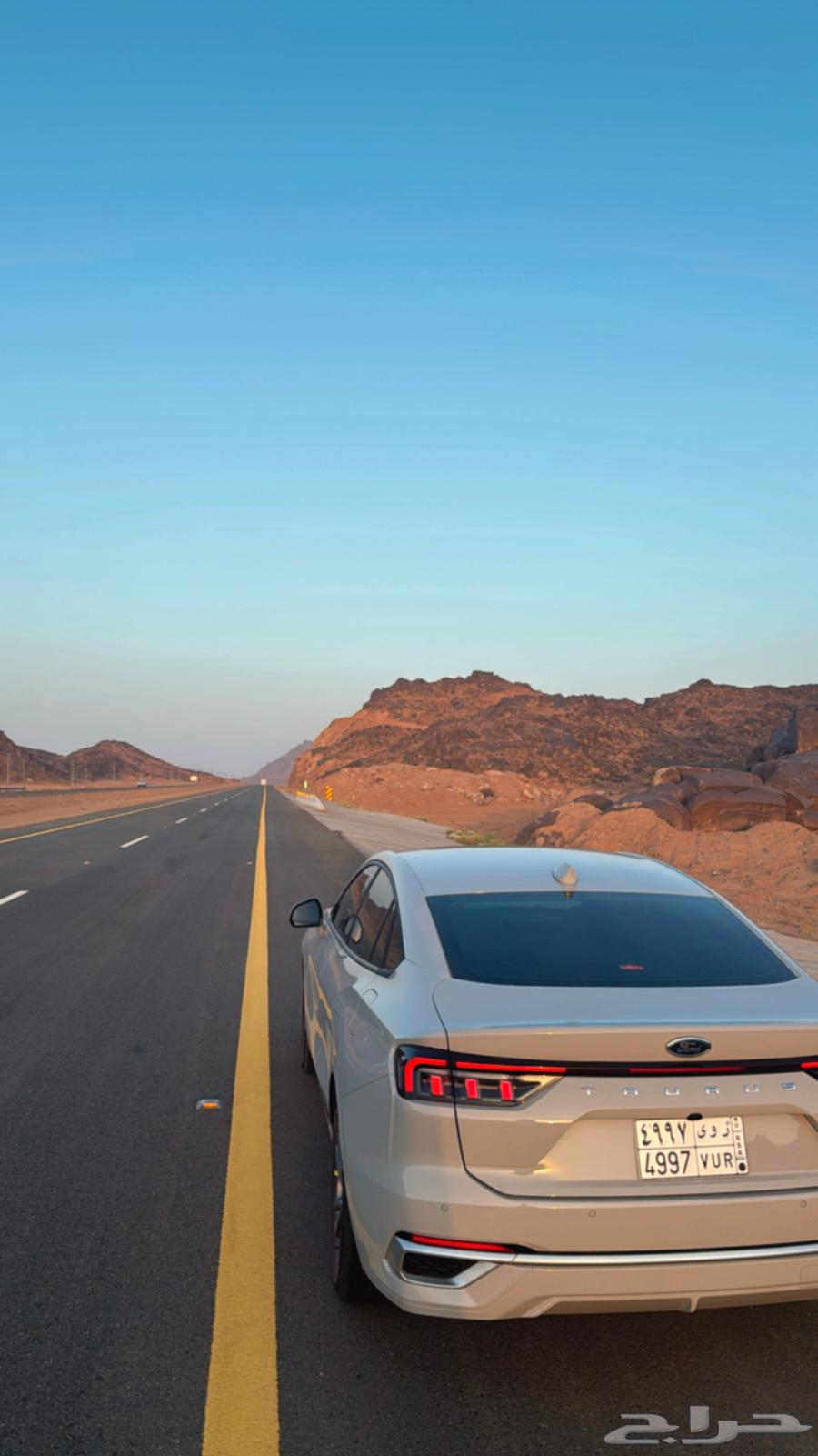 تورس 2025 للتقبيل بدون مقابل64360305063171110