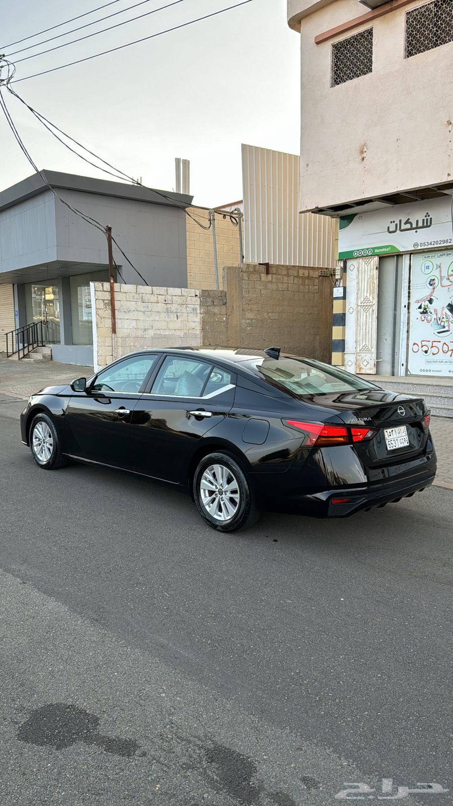 Taima 2024 Standard64363606123394114