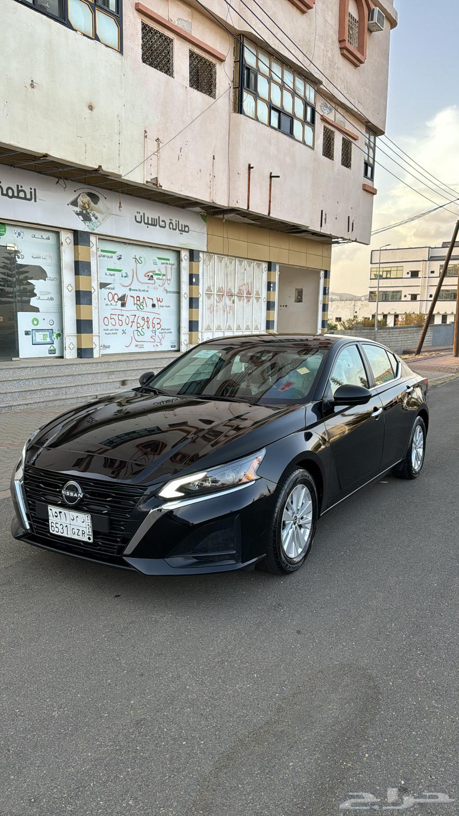 Taima 2024 Standard64363606123394113