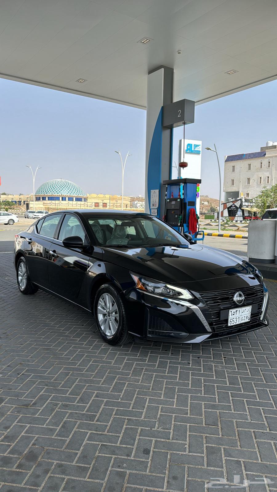 Taima 2024 Standard64363606123394110