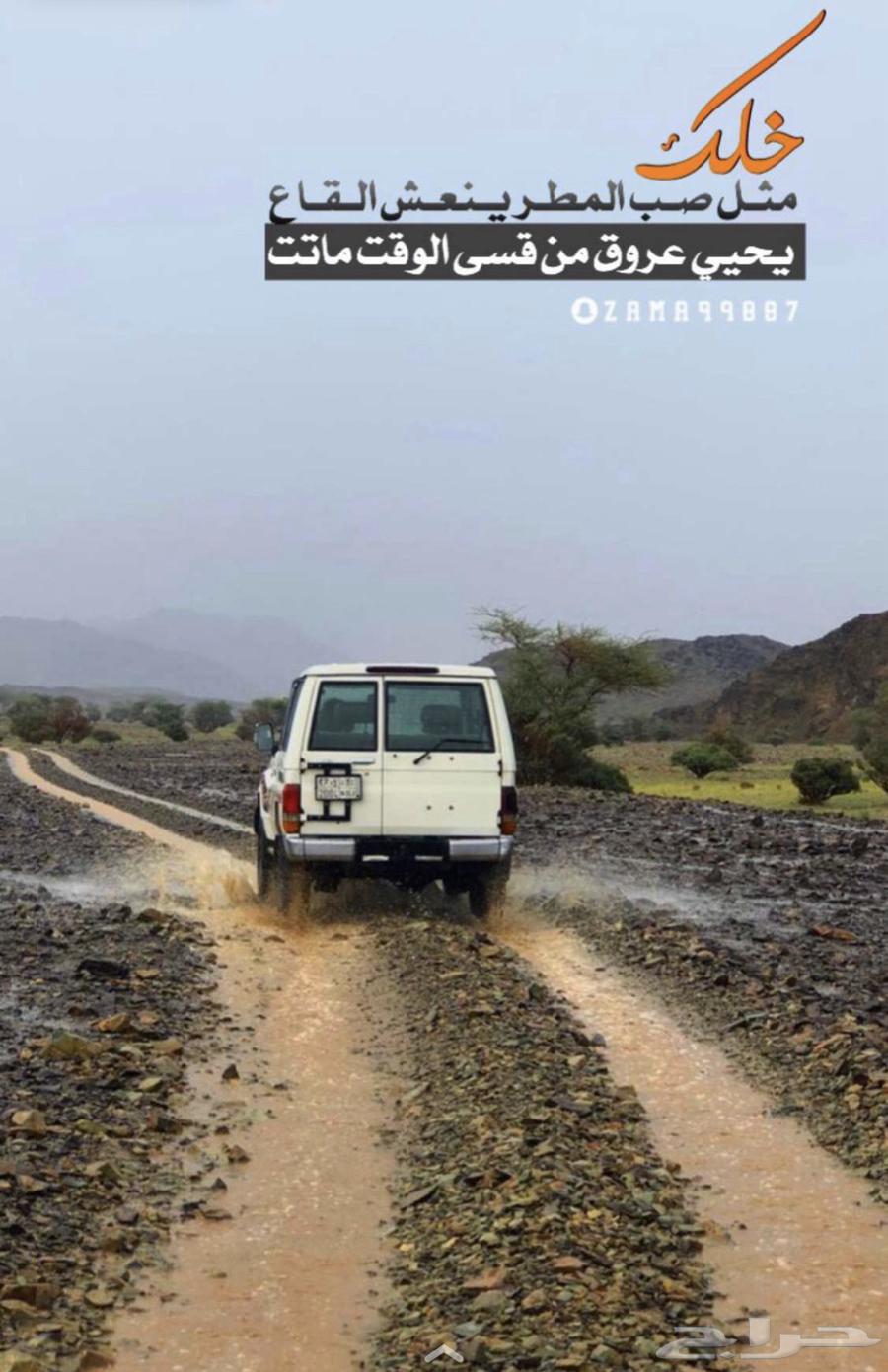 مطلوب ربع من 2006 الى 200064371891292674110