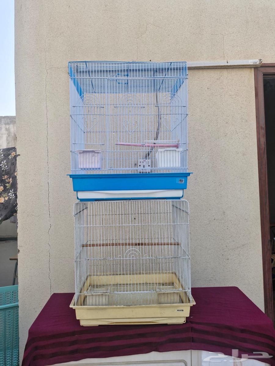 Large cage64141533461251110