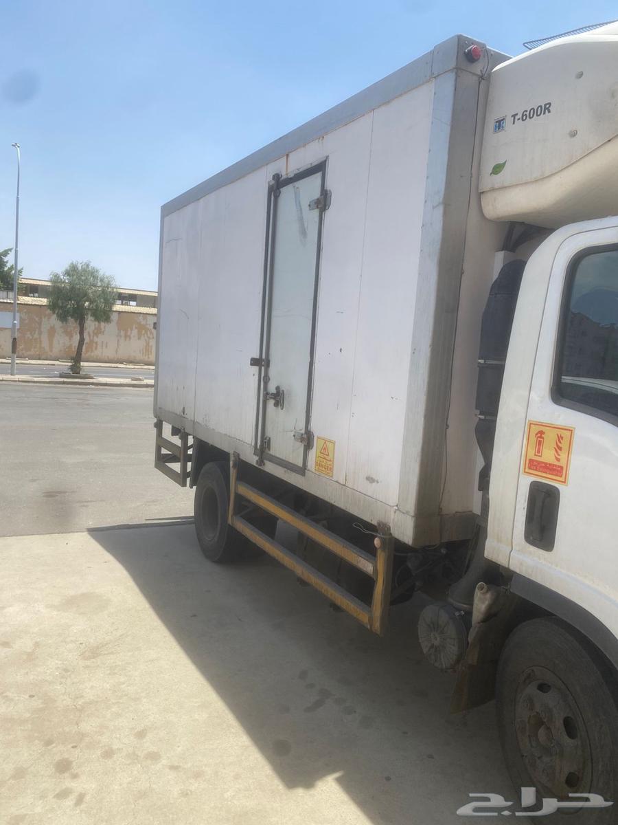 دينا2014ايسوزو64365070316418113