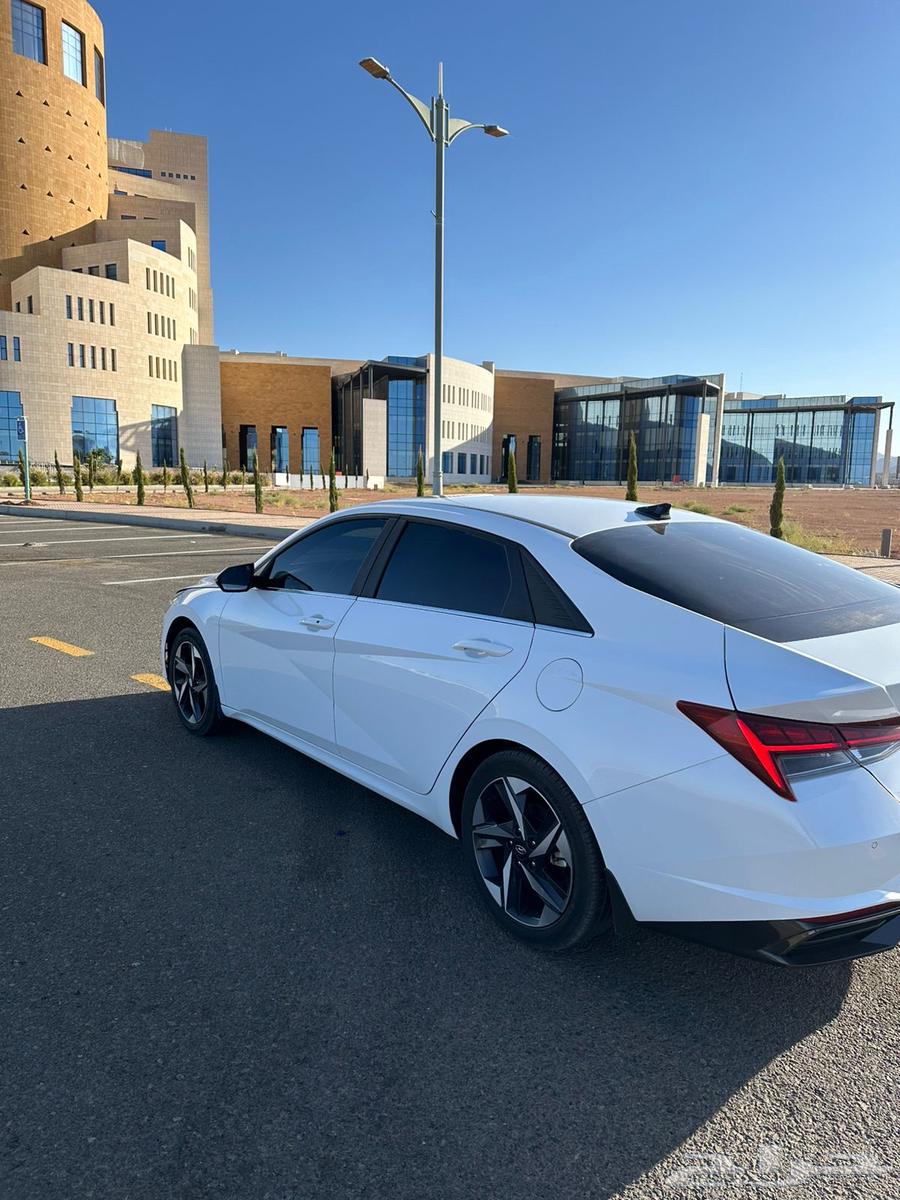 النتراء 2023 لتقبيل لتنازل بنك الاهلي64364455440131113