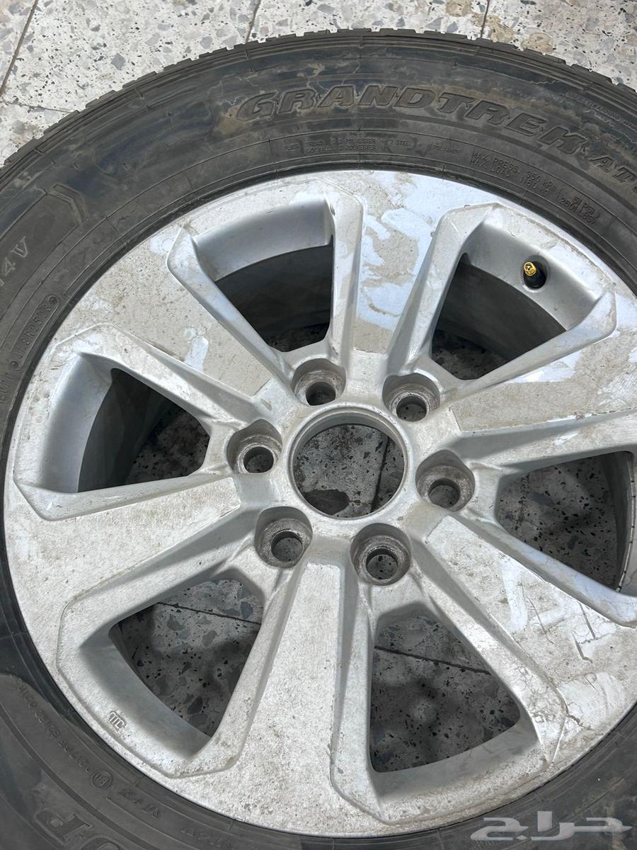 جنوط لاندكروزر 202364370351983746112