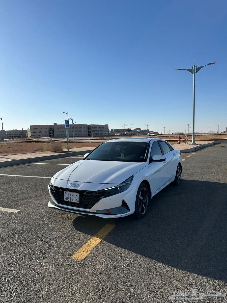 النتراء 2023 لتقبيل لتنازل بنك الاهلي64364455440131111