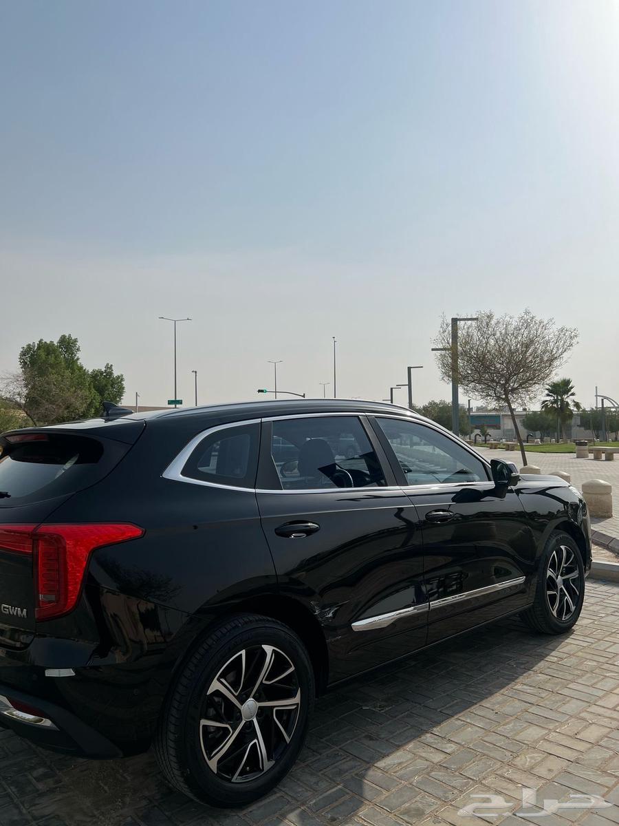 هافال جوليان 2023 للبيع64366453969539112