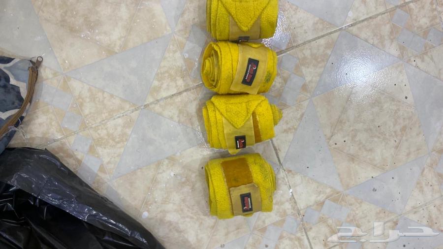 سرج ستيتوس و باندنج للبيع64145422279938111