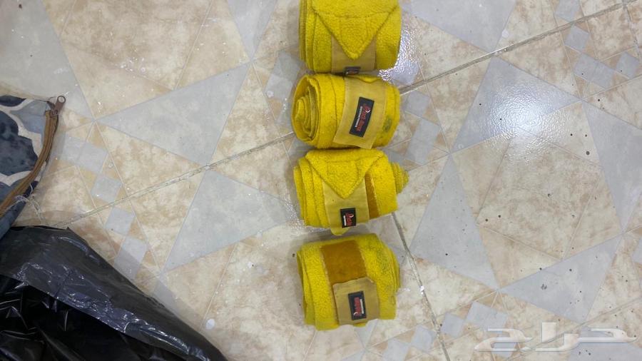 سرج ستيتوس و باندنج للبيع64145422279938112