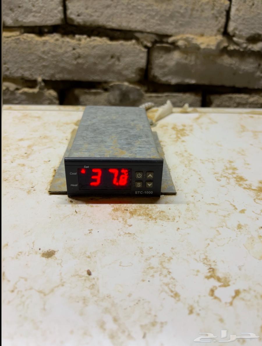 فقاسة 1000 بيضة64125041827969113