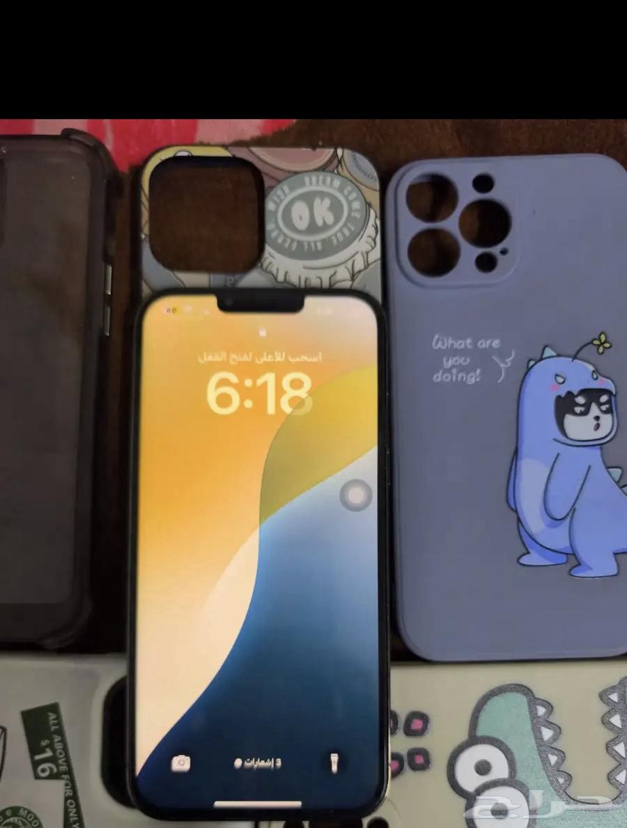 iphone 13 pro max64128260866051110