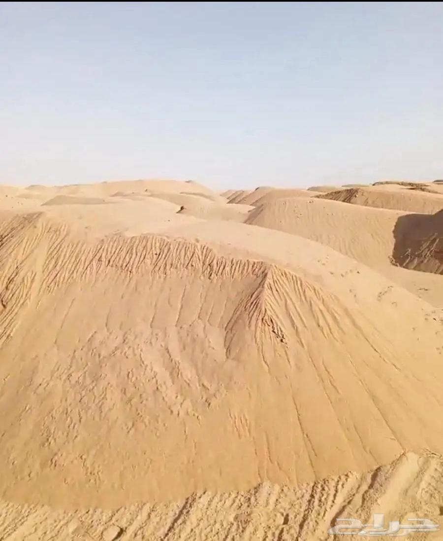 توريد - رمل - خرسانه - املا - البحر الأحمر64371584706562112