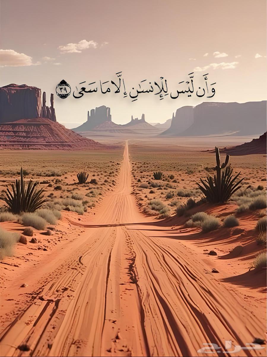 Camry64364545217793110