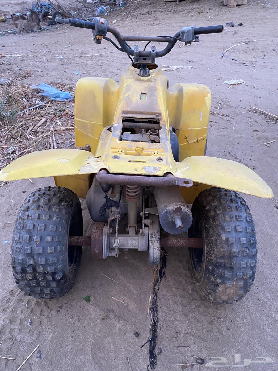 دباب للبيع64369732832002112