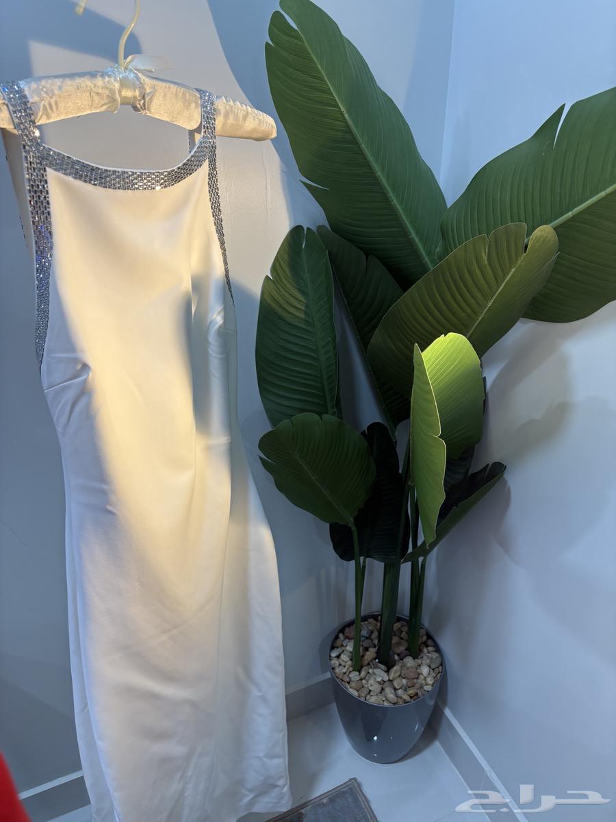 Zara new dress64141532565633110