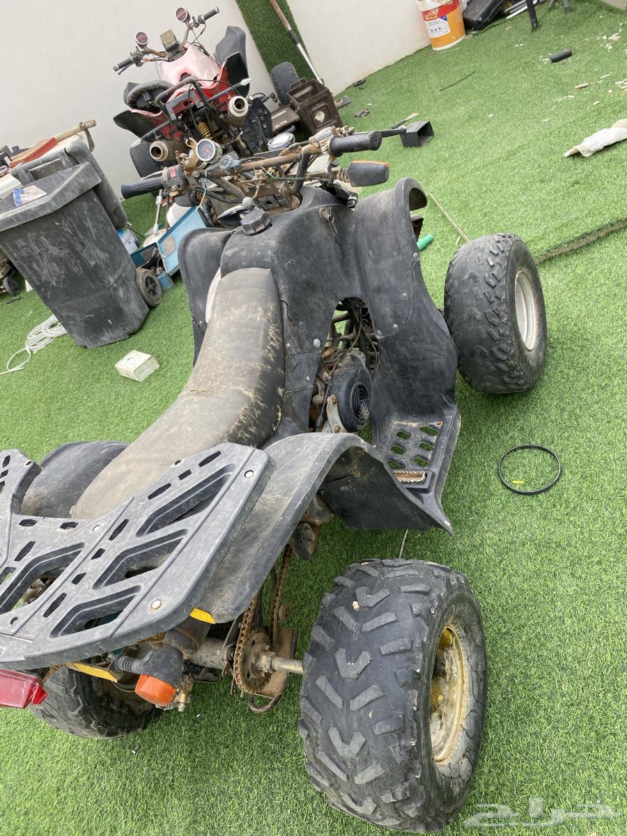 دباب سويدي للبيع64370957823491110