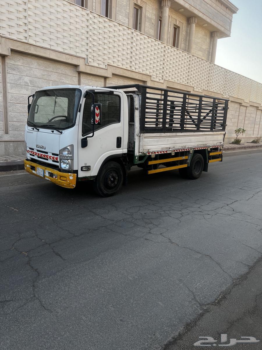 دينا ايسيزو201564371292406659110