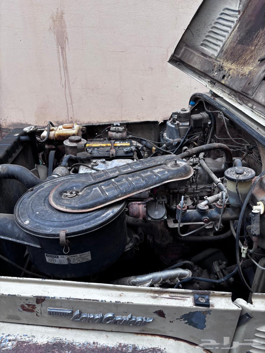 جيب مصندق 198464368193063043112