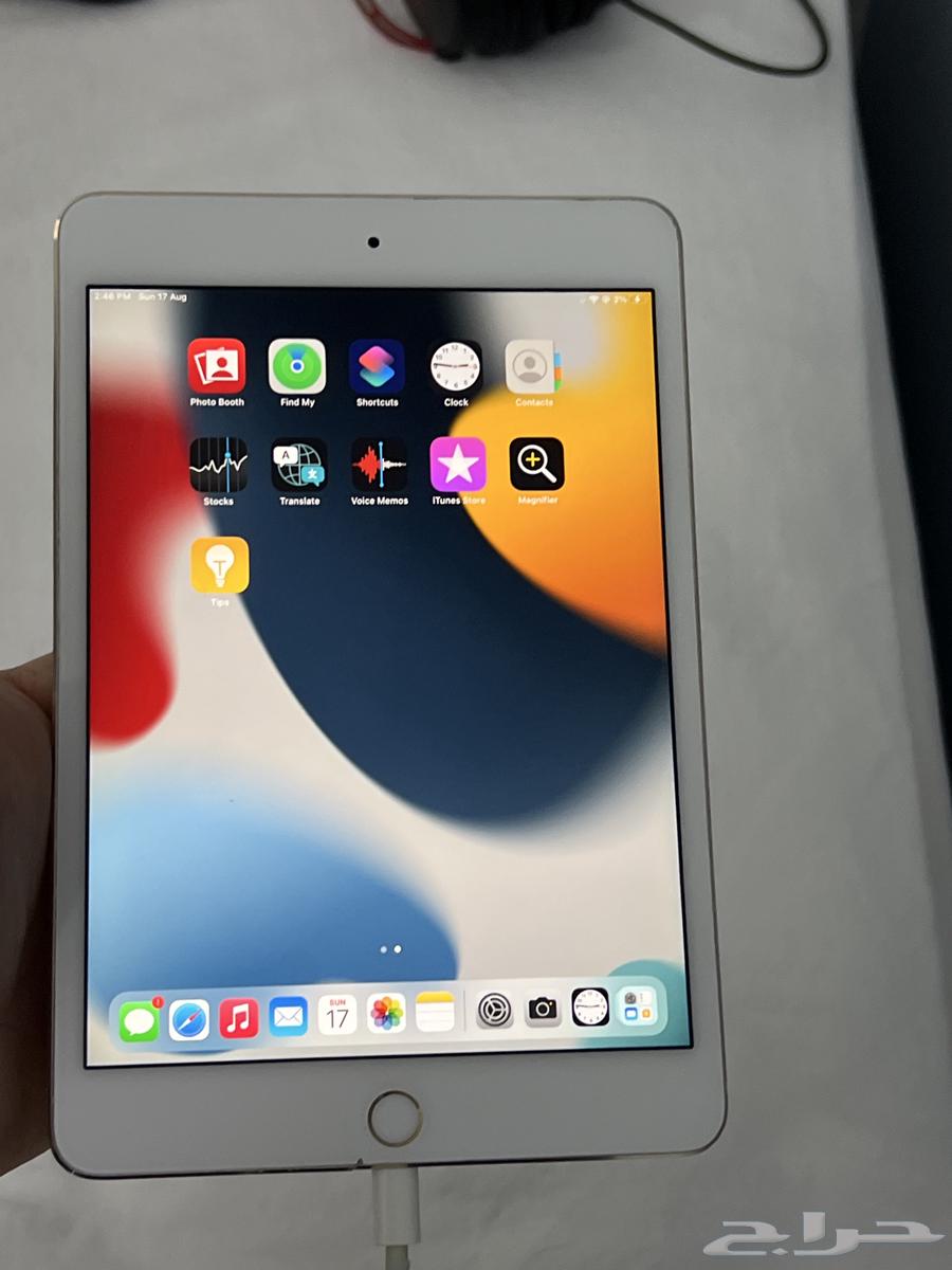 iPad Mini 4 Gold 6464141536452355111
